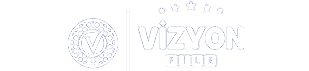 Vizyon File Logo